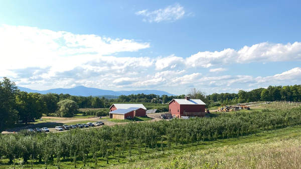 The First Atlantis Wine Fair Comes to Rose Hill Farm in Red Hook
