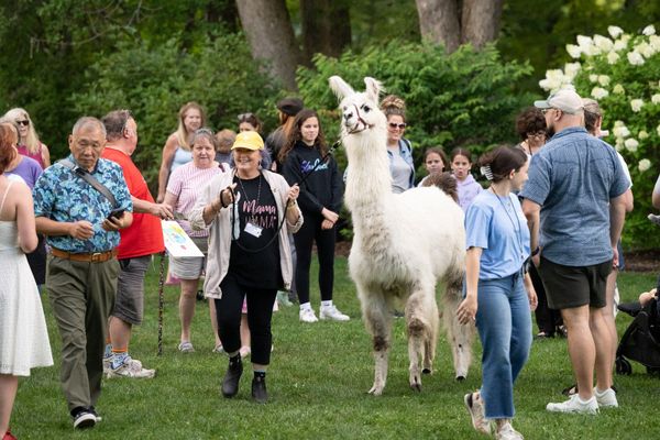 Community Day at Jacob's Pillow: A Free Friday of Dance, Classes, and Local Talent