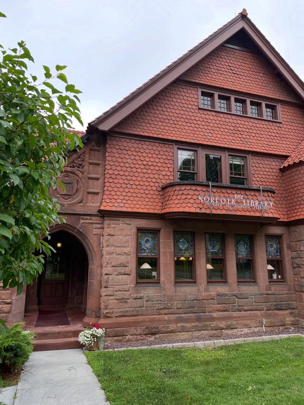 Norfolk Library's Annual Book Sale Back with Rare Finds and Tons of Free Books