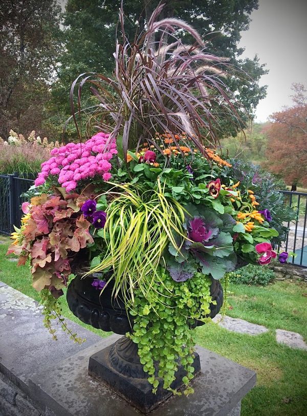 Learn Art of Fall Container Design at Hollister HouseAugust 29 10:00 am - 11:30 am