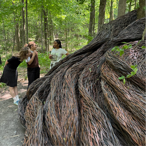 A Closer Look at Laura Ellen Bacon's Woven Willow Sculpture at the Clark
