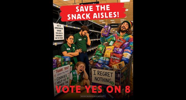 Who's Behind Question 8? The Out-of-State Effort to Repeal Legal Cannabis in Massachusetts