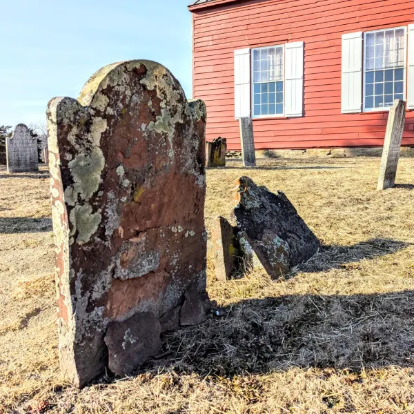The Cemetery Crawl Returns to Red Hook, One Gravestone Clue at a Time