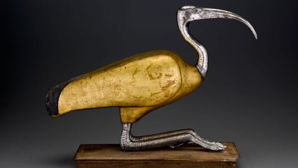 "Soulful Creatures": Mummified Animals Take Over the Berkshire Museum