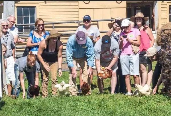 Hancock Shaker Village Country Fair: Antique Cars, Timber Framing, and Chicken Races