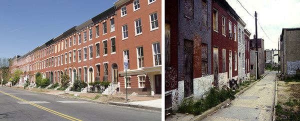 Millbrook Researchers Find Segregation is Bad for the Environment Too