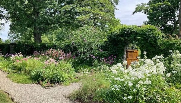 Millbrook Library Tours Beatrix Farrand's Wild Garden in Hyde Park