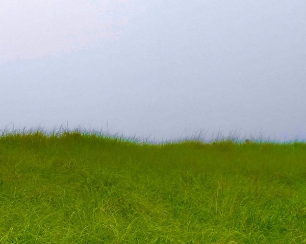Bring Your Empty Mind to Field: the New Ideas Festival Taking Root in Lenox