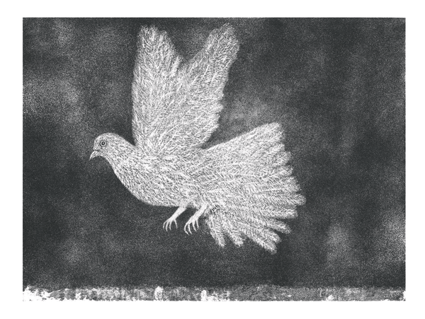 Kiki Smith's "Visiting" Opens at Shaker Museum's Outpost in Chatham