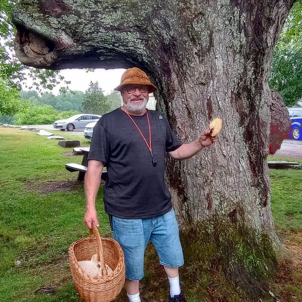 "The Fungus Among Us": Mushroom Foraging Class in Litchfield