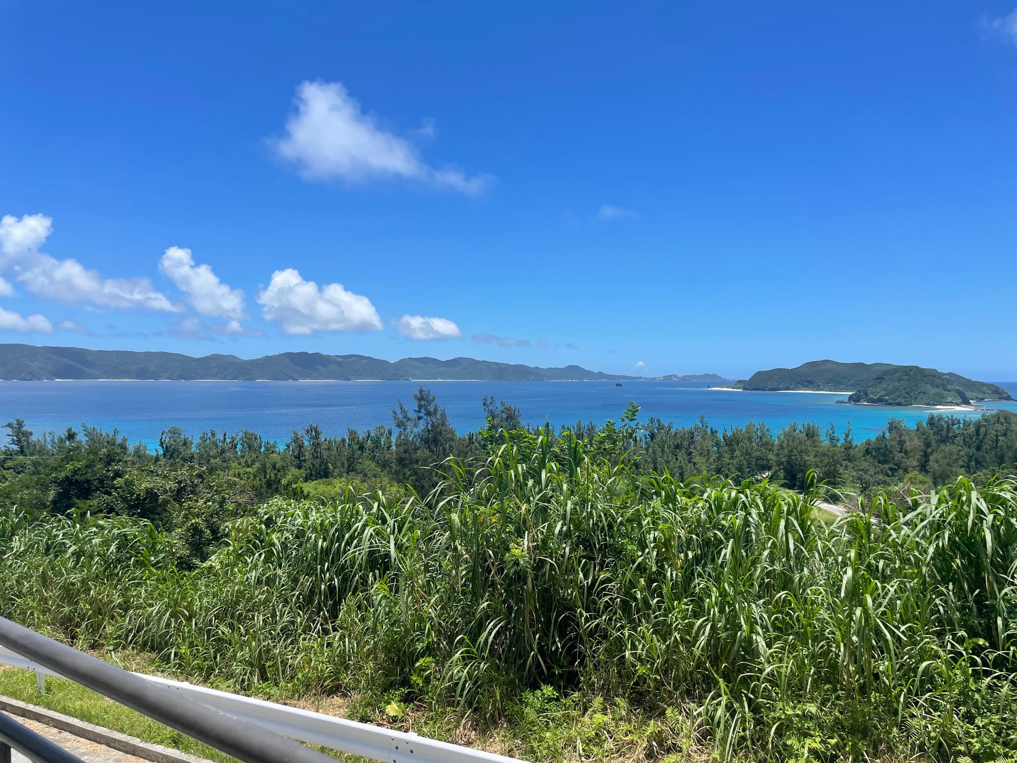 International Civil Engineering and Travel