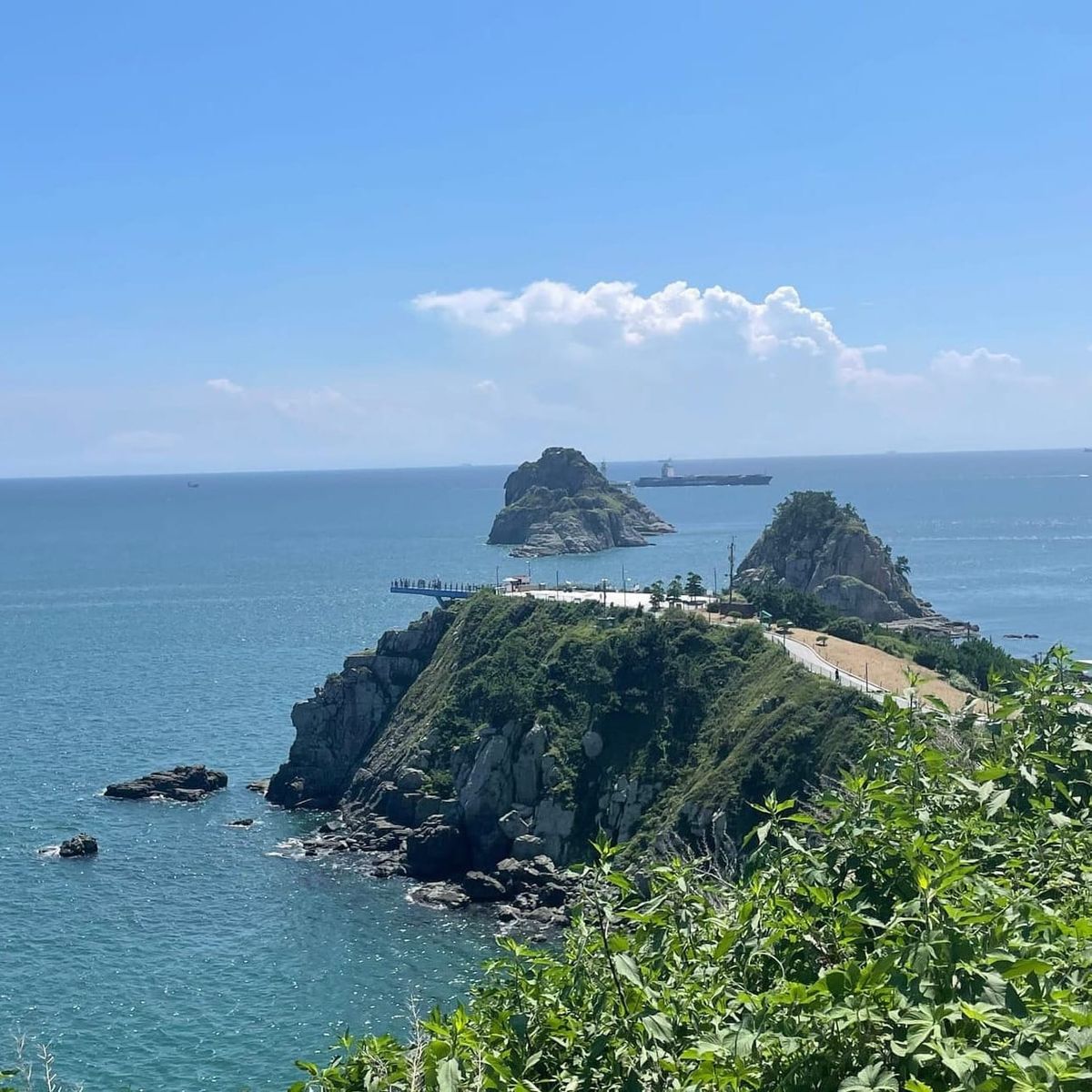 Busan Travel Hacks: 5 Must-Visit Spots That Locals Will Recommend!