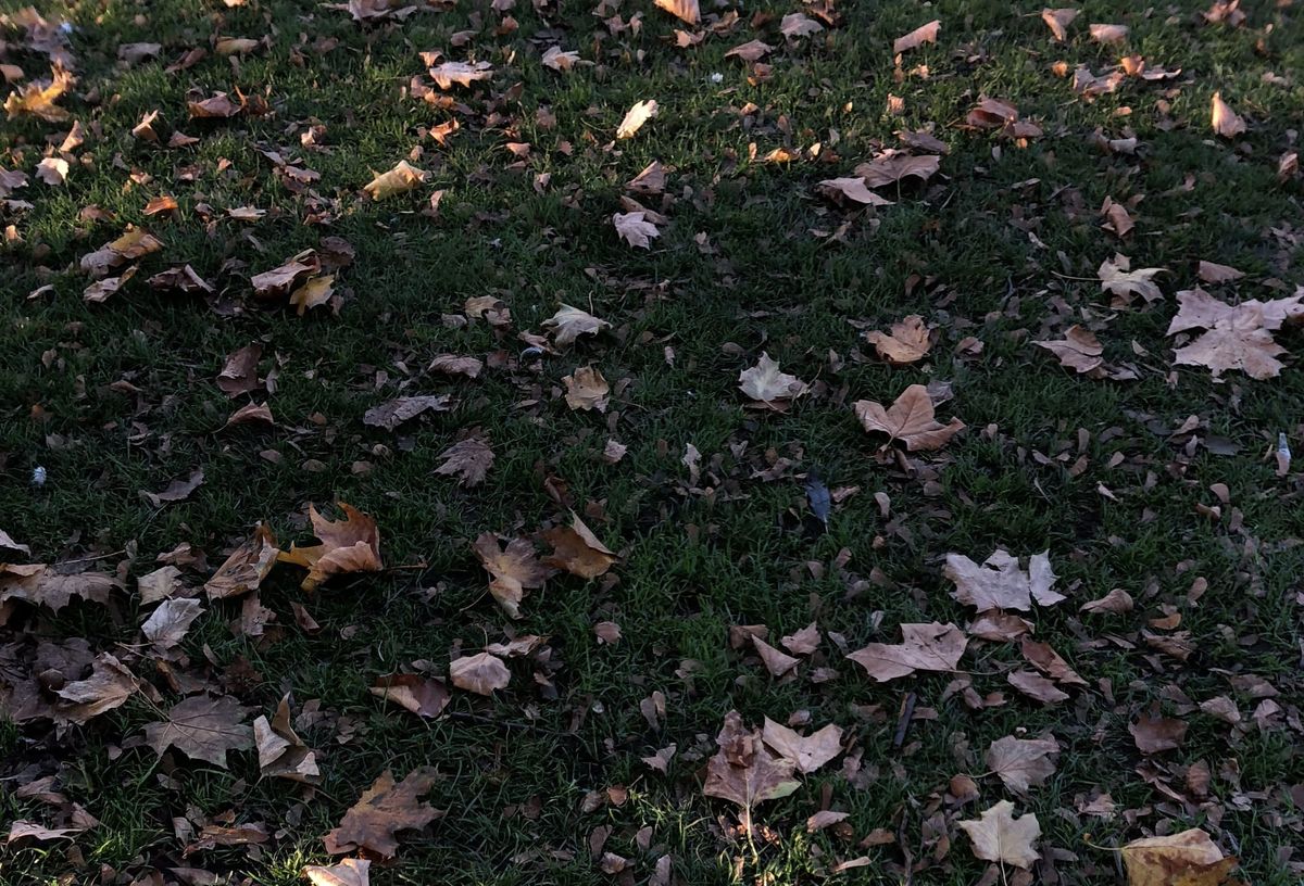 The Cosy Autumn Watchlist