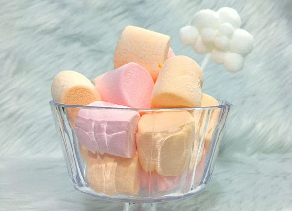 Poskus s sladkorno penico