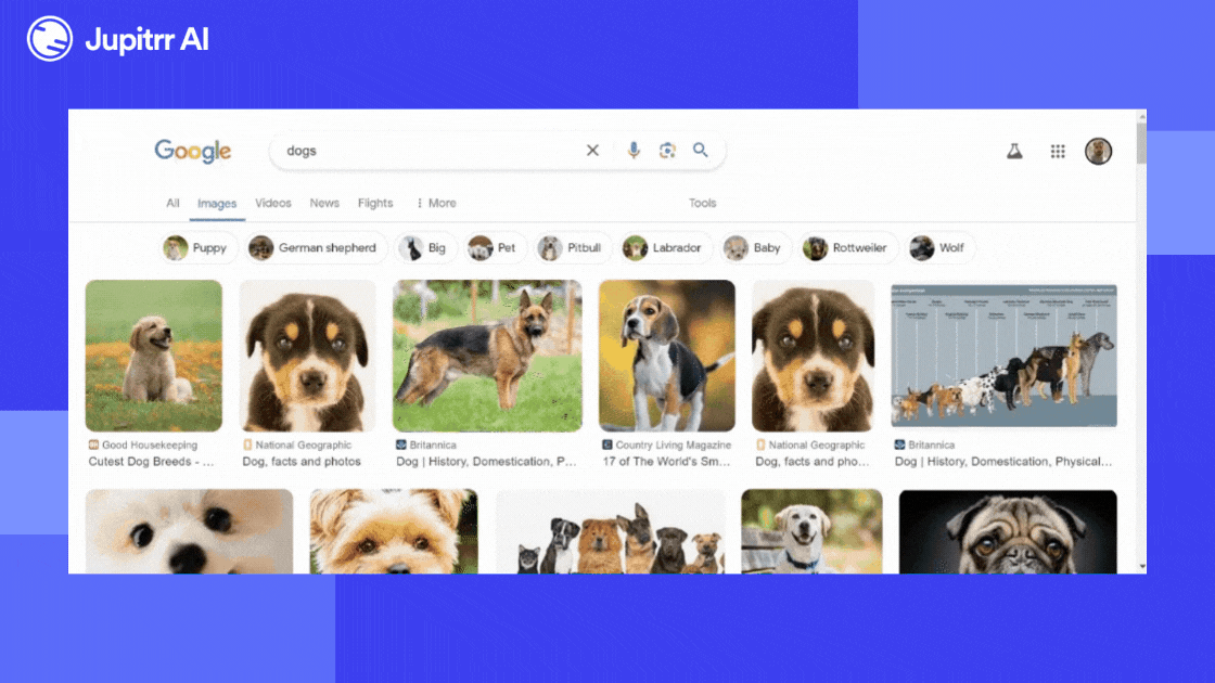 How to find Copyright Free CC and Commercial license images in Google