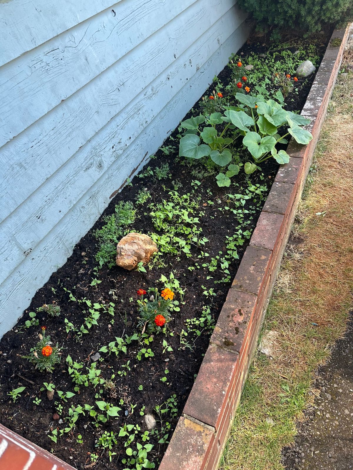 The Seed Cabinet System