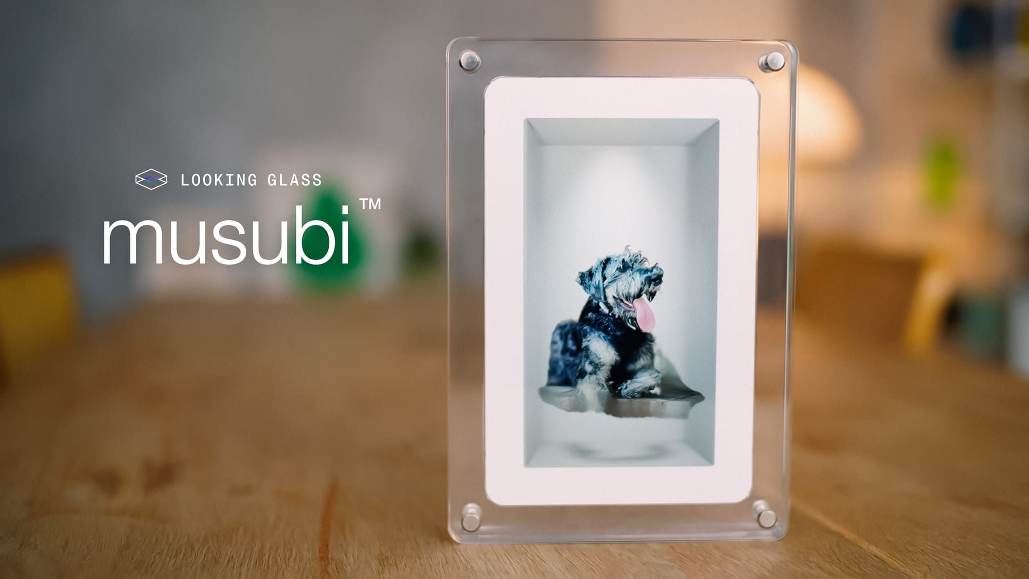 Looking Glass Unveils musubi, the World’s First Consumer Holographic Photo and Video Frame
