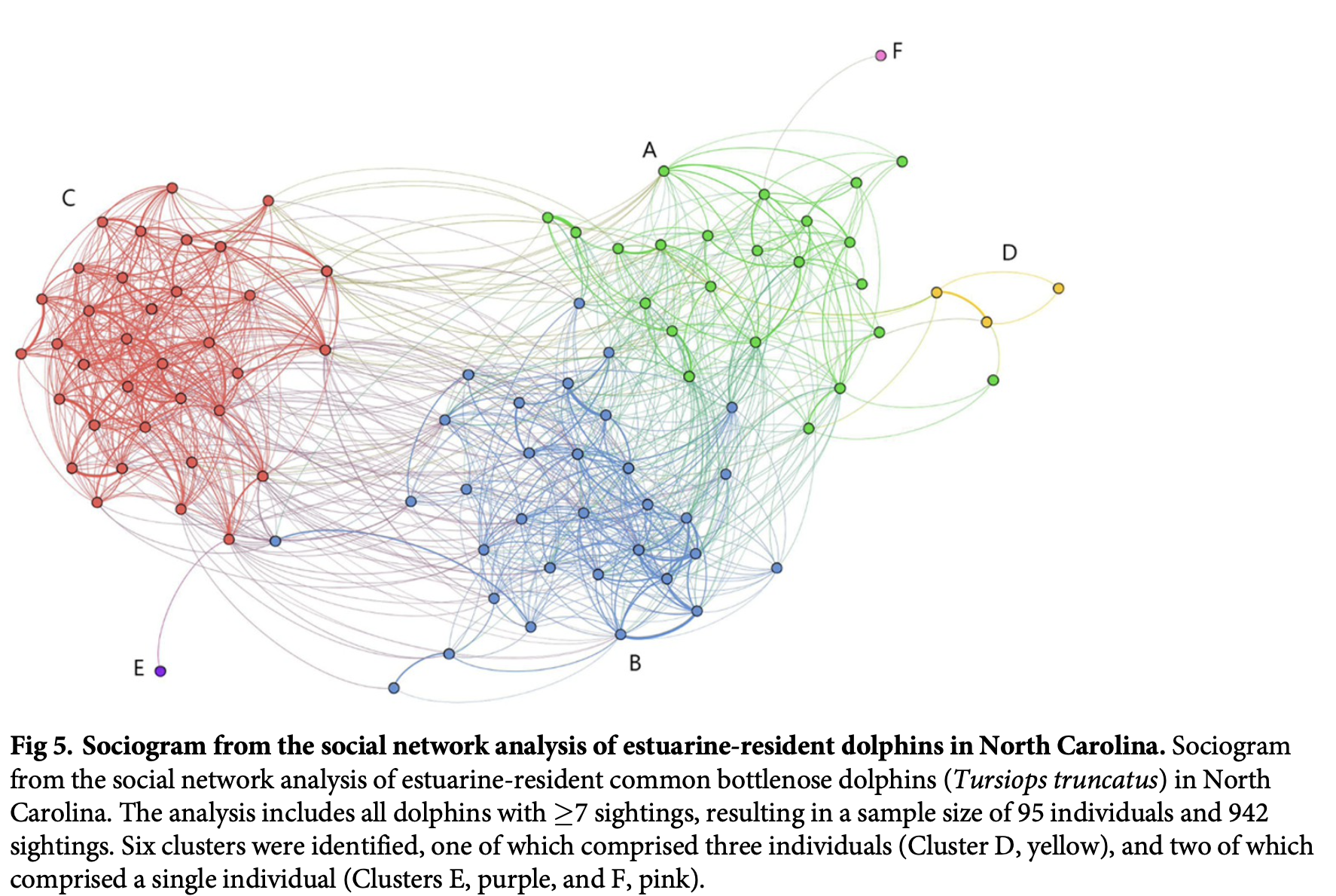 A screenshot of a figure from the research paper showing a network diagram made up of three main clusters of dolphins.