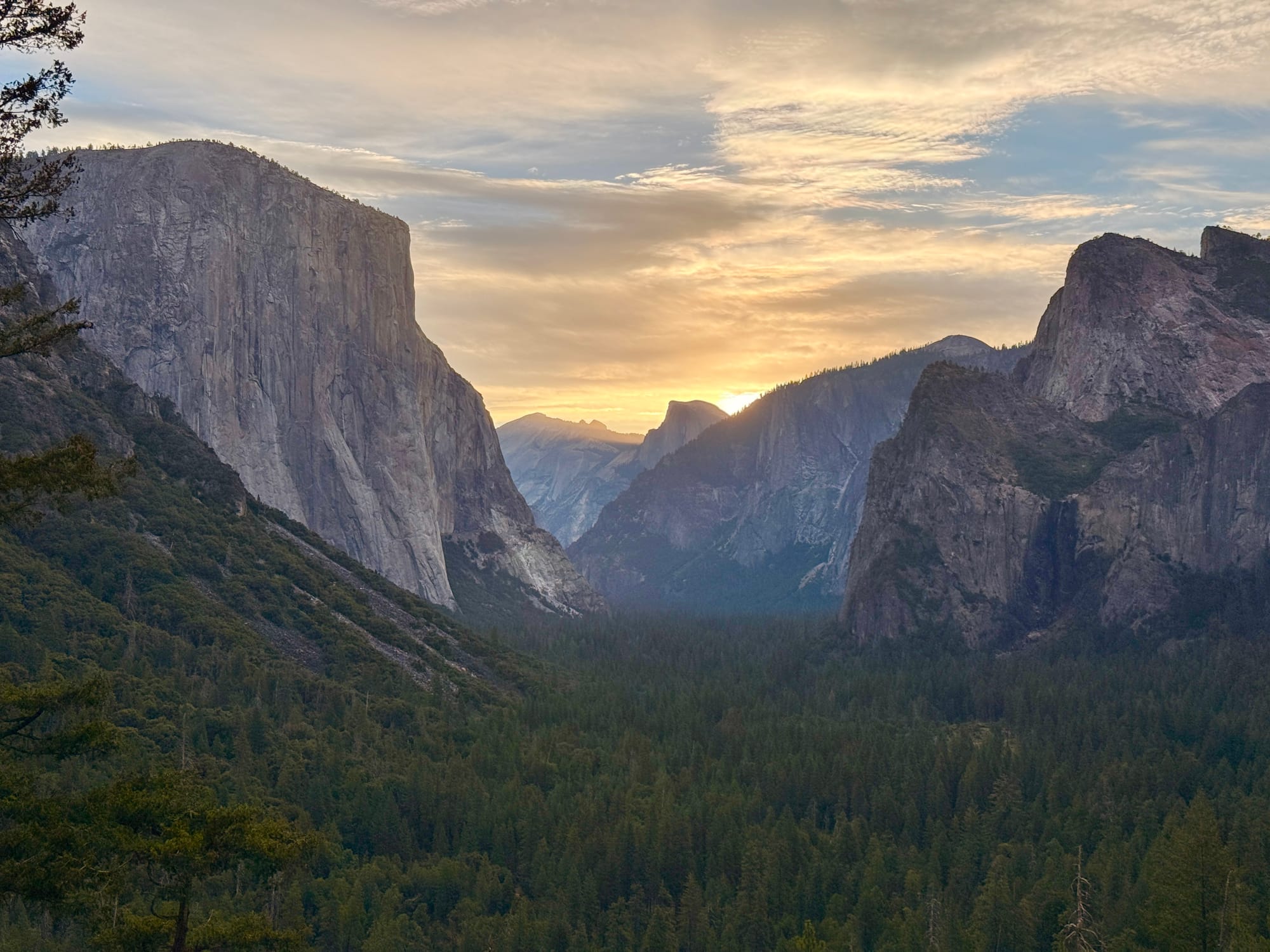A view of Yosemite valley in the early morning with rocky peaks and a green forest