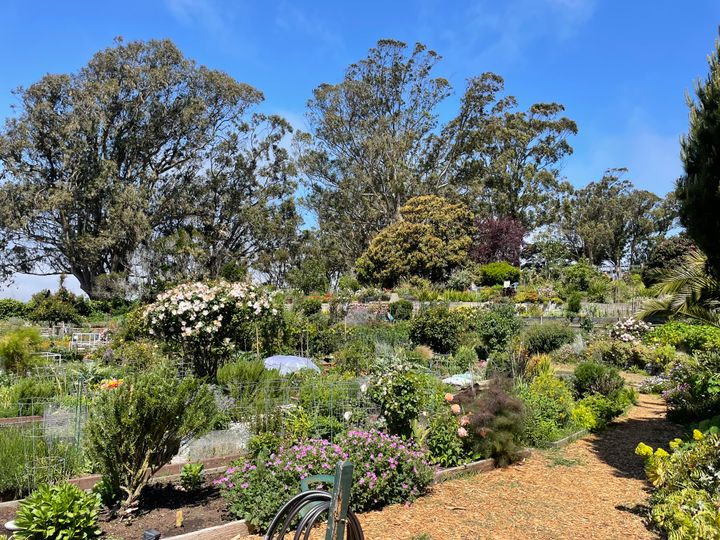 Artist's Date #16: Mother's Day