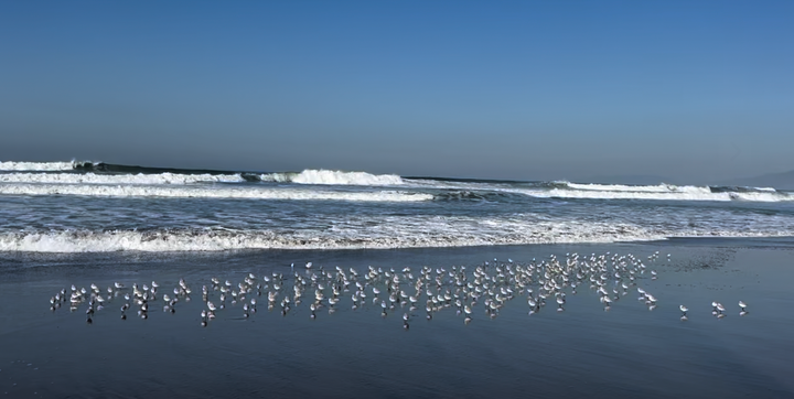 Artist's Date #45: Outer Sunset