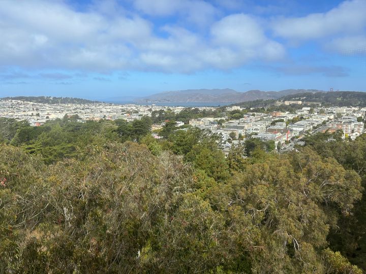 Artist's Date #24: Hidden Rooms at the Museum