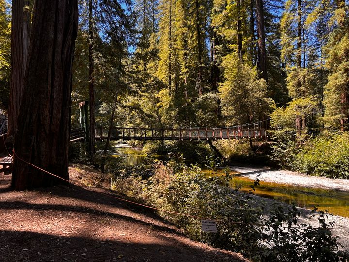 Artist's Date #47: Family Camp