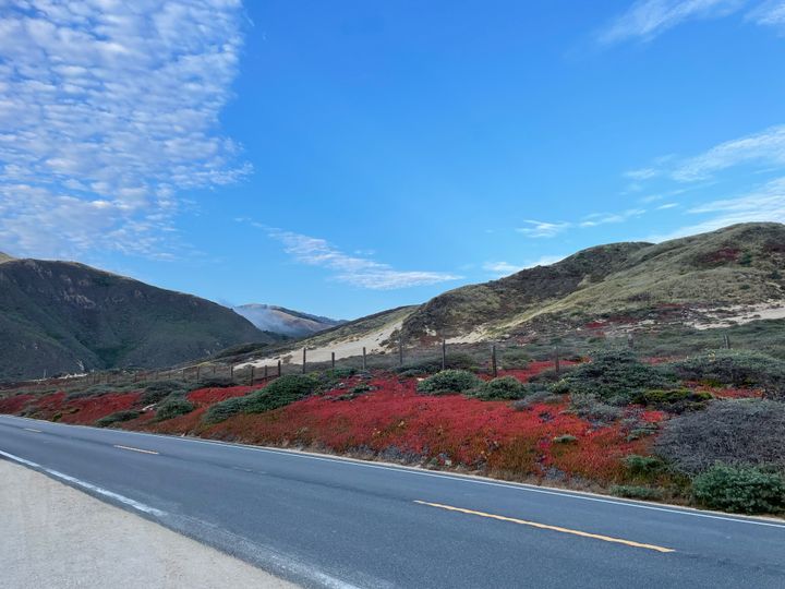 Artist's Date #5: Big Sur