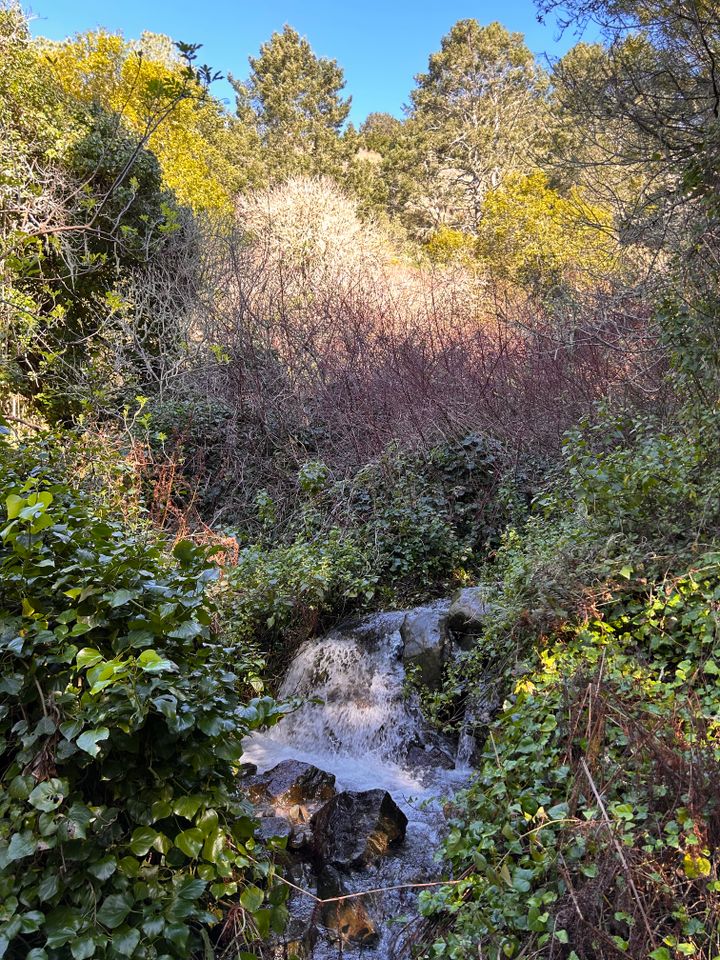 Artist's Date #18: Finding a Spring