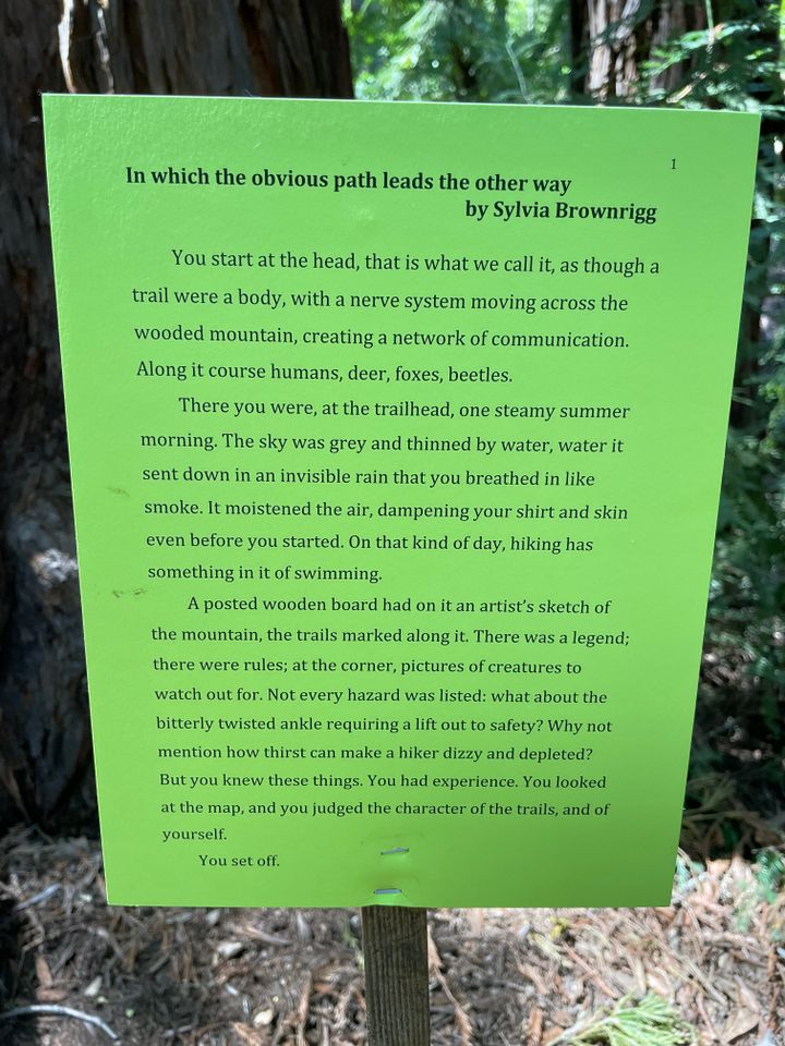 Raising an Art Monster