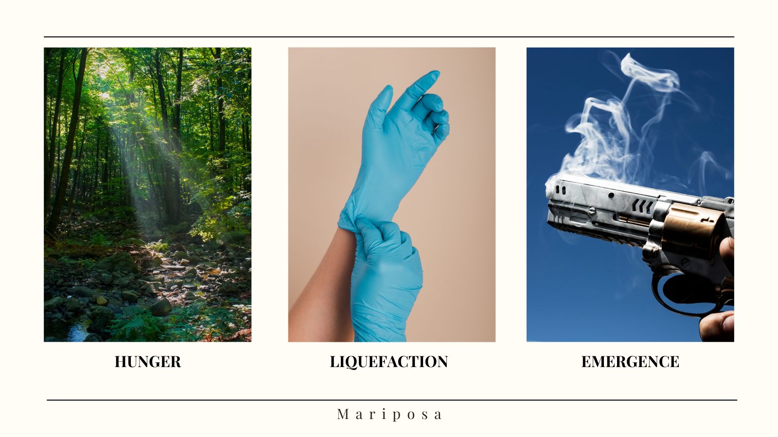 A promotional image for Xochilt Avila's unpublished novella "Mariposa" - There are three photographs in a horizontal line. The first image is a forest labeled "hunger." The second image is someone putting on blue medical gloves labeled "Liquefaction." The third image is someone holding a smoking gun labeled "Emergence." These images represent the three acts of the book.