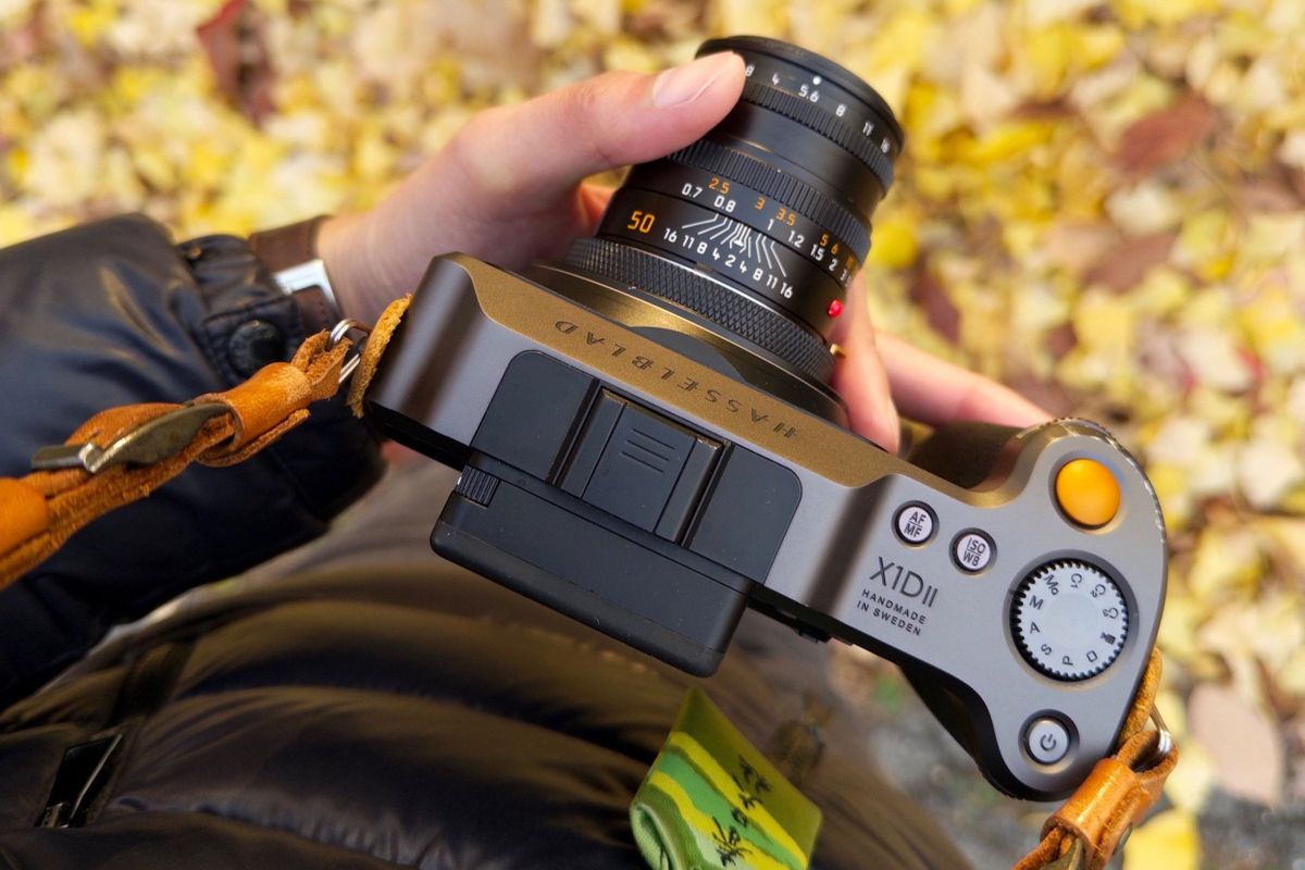 002 - When two queens link up to maximize their joint slay