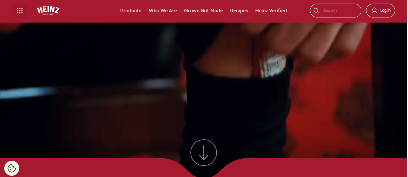 heinz - Successful Viral Marketing Campaigns