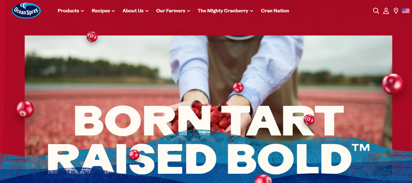 ocean spray - Successful Viral Marketing Campaigns