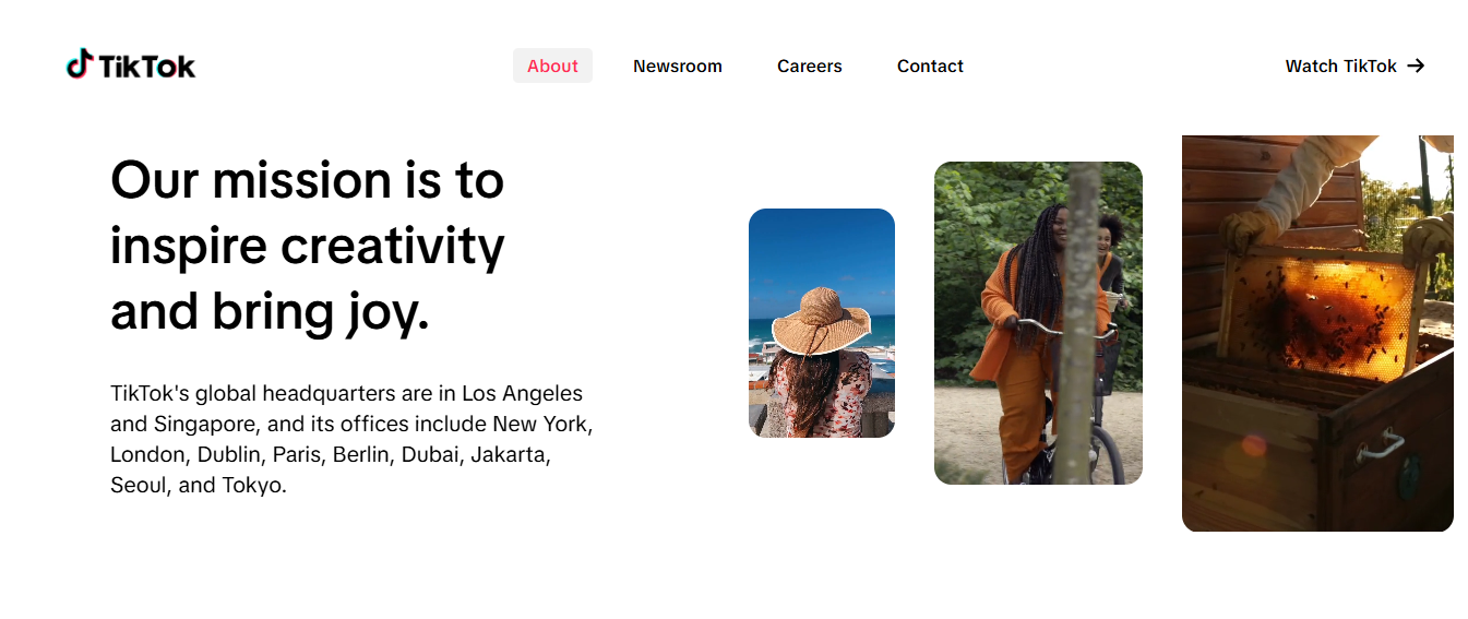 tiktok - What To Post On Each Social Media Platform