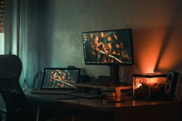How To Edit A Video In Canva In 10 Simple Steps