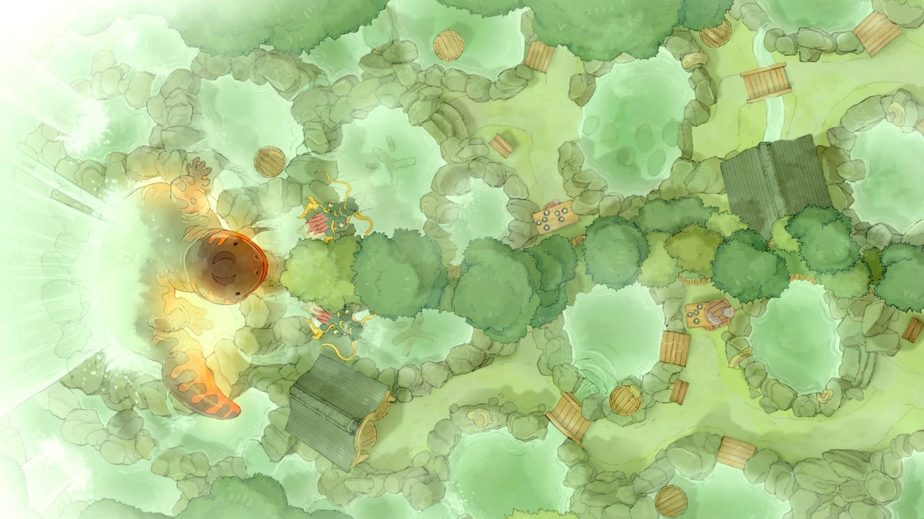 Top-down battlemap of a series of terraced hot spring pools nestled amongst trees. At the end of the hot springs is a massive orange salamander lounging under a waterfall.