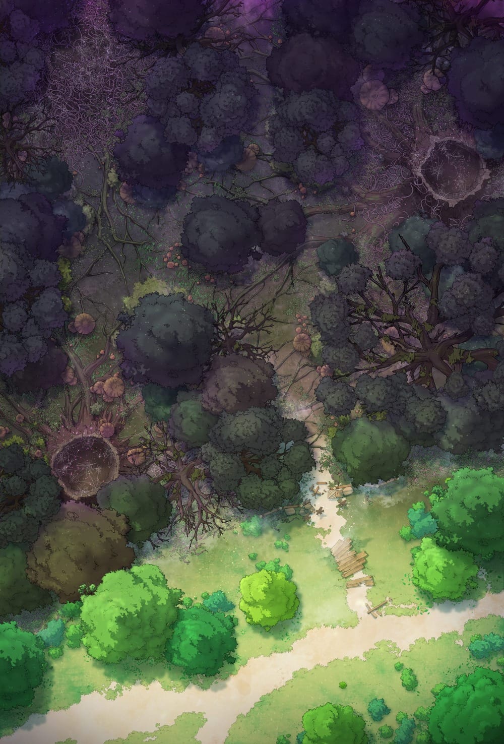 Top-down battlemap of a forest where a bright healthy woodland transitions into something darker. On the left, vivid green trees line a dirt path that snakes into a festering woodland where the trees grow more gnarled and darker amidst rotted stumps and purple fungal growth.