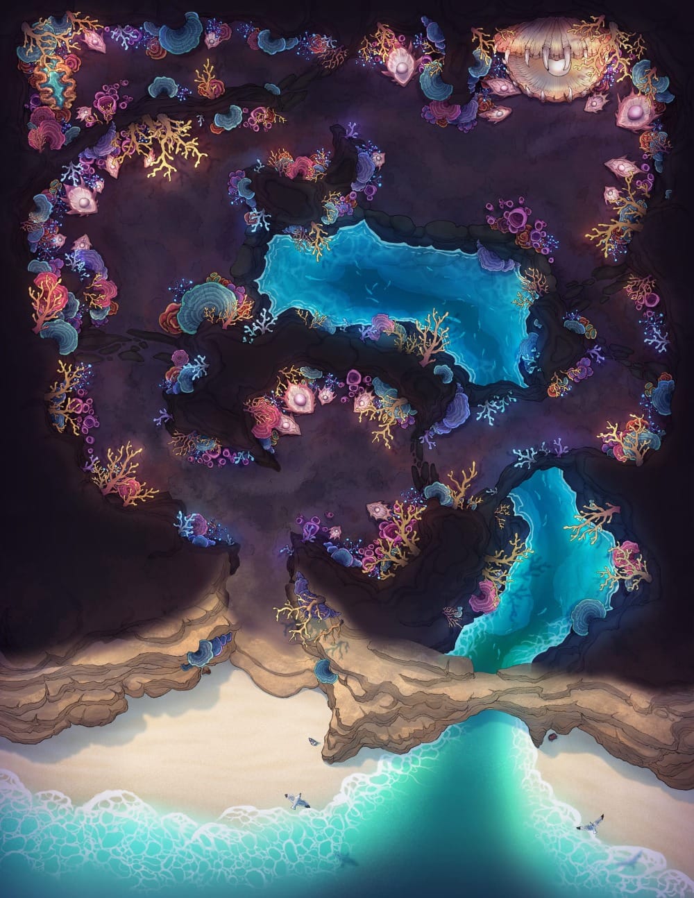 Top-down battlemap of a series of beachside caverns, containing several small tide pools lined with clusters of glowing coral and anemones. In the innermost cavern is a huge toothed clam with a pearl inside. The cave entrance opens onto a sunlit sandy beach and turquoise shoreline.