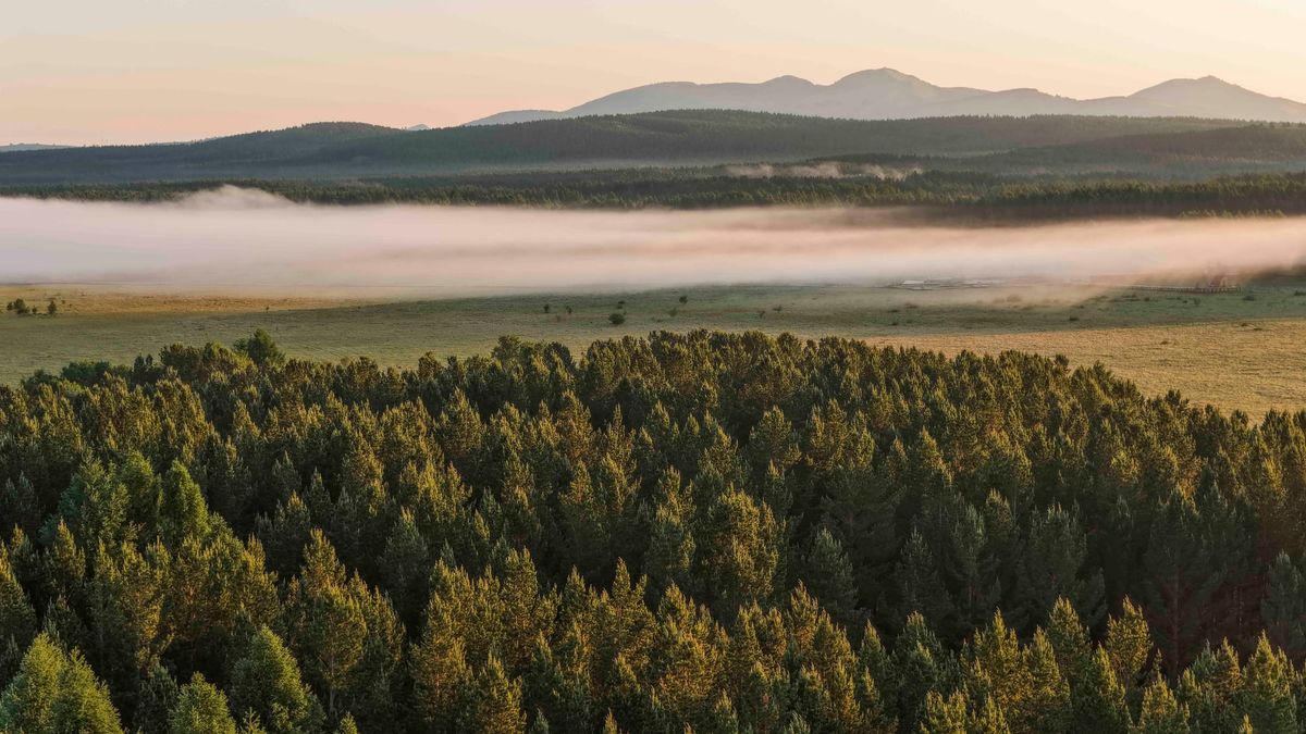 Grand Chessboard for a Nation: What Is Five-Year Plan of China and How China’s Plan System Works?