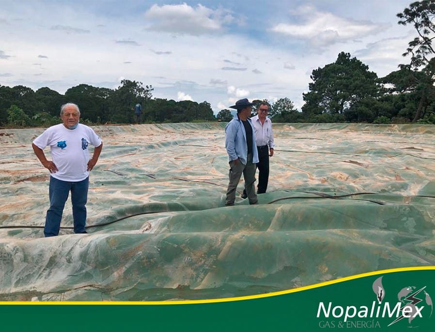 Miguel Aké (left), a 73-year-old electrical engineer from Central Mexico and head of his biogas company, NopaliMex, supervising sargassum biodigestors.