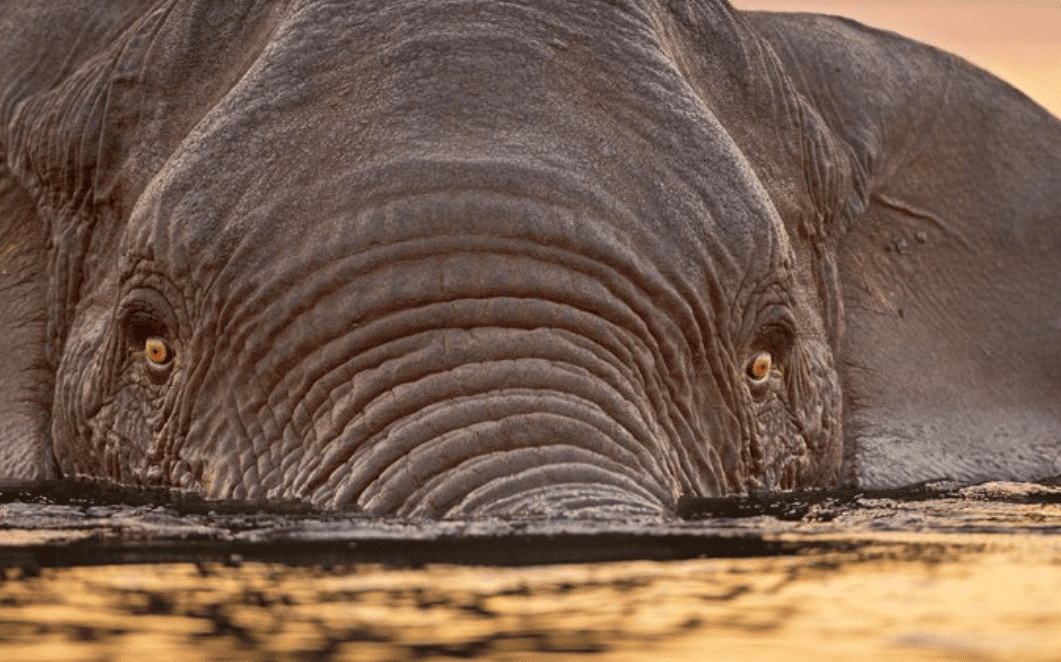 Screen Shot 2018-01-29 at 10.43.49 AM