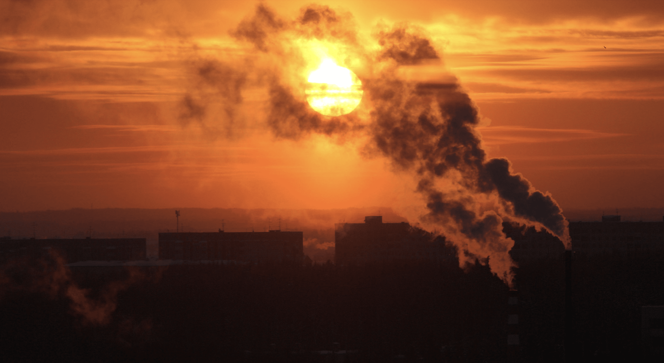 2020 hottest year on record