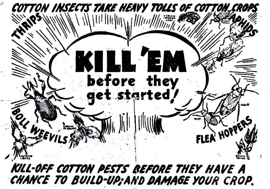 screenshot2017-01-11at5-12-20pm