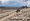 'Massive Miscalculation': Bipartisan Outcry Forces Trump to Pause Border Construction in Big Bend National Park