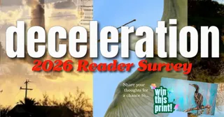Deceleration 2026 Reader Survey
