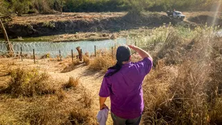 Clearcutting the Borderlands Threatens Native Rio Grande Habitat