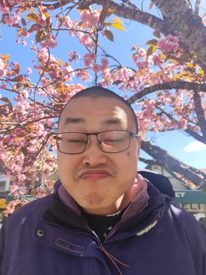 Ben Son Hai Ho
