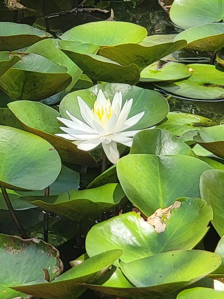 Time is the great Equaliser