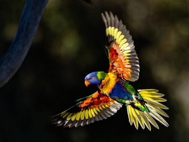 Career change/Follow your heart/Balanced choice